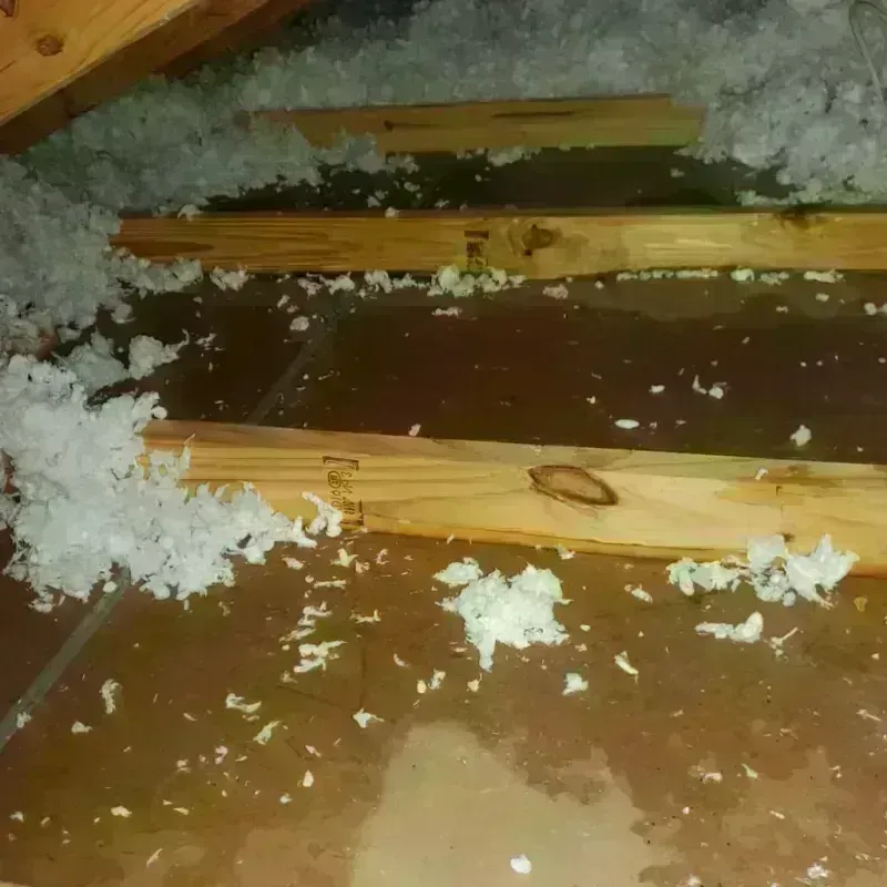 Attic Water Damage in Carson City, MI