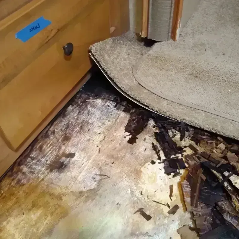 Wood Floor Water Damage in Carson City, MI